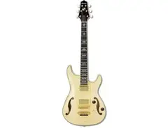 Ibanez AWD102 Artcore Custom main image