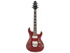 Ibanez AWD82T Artcore main image
