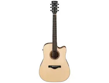 Ibanez AWFS300CE Dreadnought