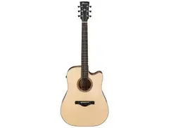Ibanez AWFS300CE Dreadnought main image