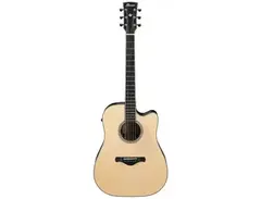 Ibanez AWFS580CE Dreadnought main image