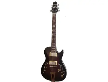 Ibanez AXD82P Artcore