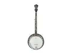 Ibanez B200 Banjo main image