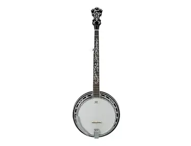 Ibanez B300 Banjo