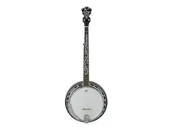 Ibanez B300 Banjo