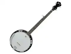 Ibanez B50 5-String Resonator Banjo