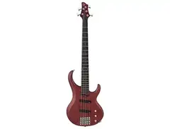 Ibanez BTB305BG Standard main image