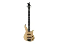 Ibanez CTB5 Contemporary main image