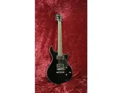 Ibanez DN300 Darkstone main image