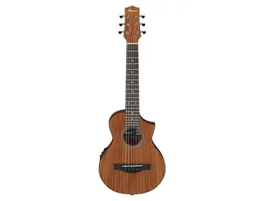 Ibanez EWP12EWB