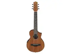 Ibanez EWP12EWB main image