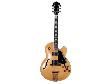 Ibanez FG100 FG