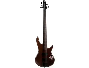 Ibanez GSR205BF Gio Soundgear Fretless