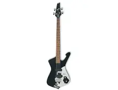 Ibanez ICB250EX Standard Iceman Bass main image