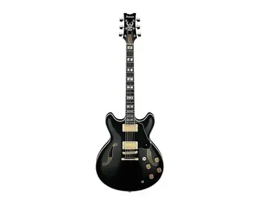 Ibanez JSM20TH 20th Anniversary John Scofield Signature