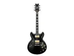 Ibanez JSM20TH 20th Anniversary John Scofield Signature main image