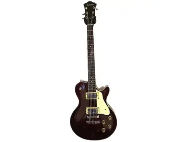 Ibanez PF160 Performer