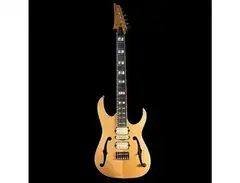 Ibanez PGM10TH 10th Anniversary Paul Gilbert Signature main image