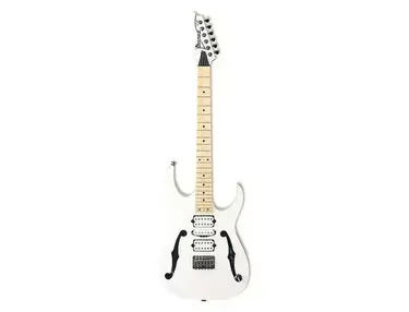 Ibanez PGM301 Paul Gilbert Signature