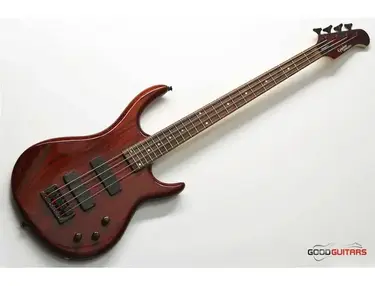 Epiphone Embassy Standard IV
