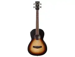 Ibanez PNB15E Performance main image