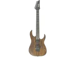 Ibanez RG20061 / RGT220A Prestige main image
