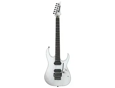 Ibanez RGCTM1 Ibanez Guitar Development Center
