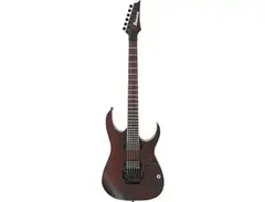 Ibanez RGIR20BE Iron Label main image