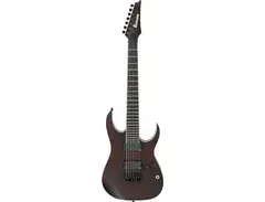 Ibanez RGIR27BFE Iron Label main image