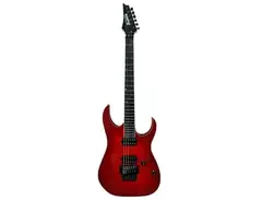 Ibanez RGR1700 J. Custom main image