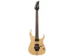 Ibanez RGT220Z Prestige main image