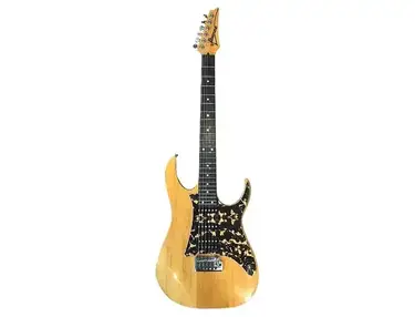 Ibanez RT240 Standard