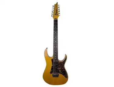 Ibanez RT452 Standard
