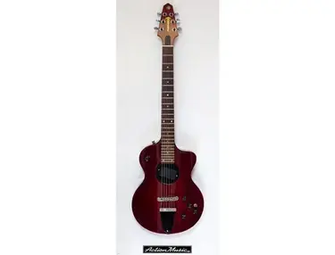 Turner Model 1 Solid Body