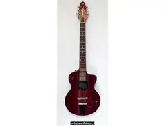 Turner Model 1 Solid Body