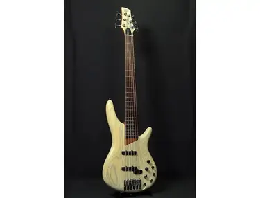 Ibanez SR2010ASC "Ashula" Bass Workshop Hybrid Fretless Soundgear