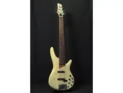 Ibanez SR2010ASC "Ashula" Bass Workshop Hybrid Fretless Soundgear main image