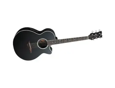 Dean Performer e