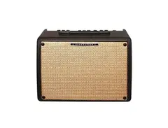 Ibanez T30II Troubadour 1x8" 30-Watt Acoustic Guitar Combo main image