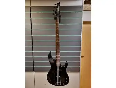 Ibanez TRB100 Standard