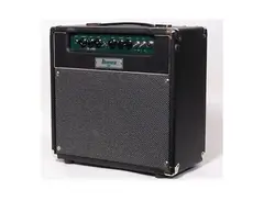 Ibanez TSA15 1x12 15W Guitar Combo main image