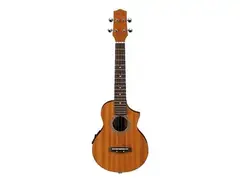Ibanez UEW5E EW Concert Ukulele main image
