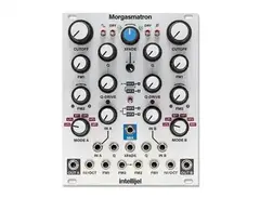 Intellijel Morgasmatron Dual Multi-Mode Filter Eurorack Synth Module main image