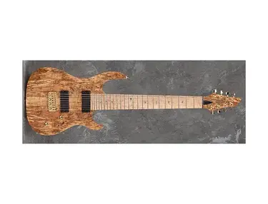 Carvin DC800