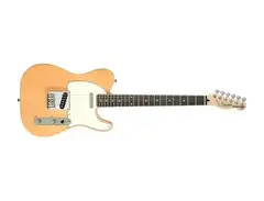 Squier Standard Telecaster - What To Know & Where To Buy | Equipboard