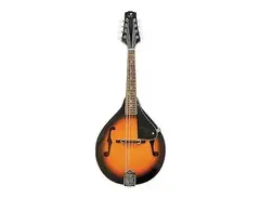 J. Reynolds JRMAN10 A-Style Mandolin main image