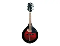 J. Reynolds JRMAN20 A-Style Spruce Top Mandolin main image