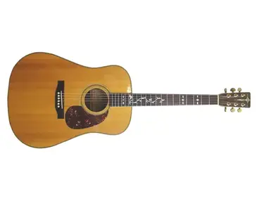 Goya Guitars G-335S Acoustic Guitar