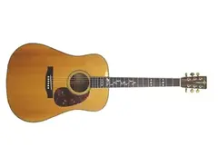 Goya Guitars G-335S Acoustic Guitar main image