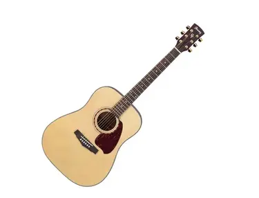 Ibanez PF5